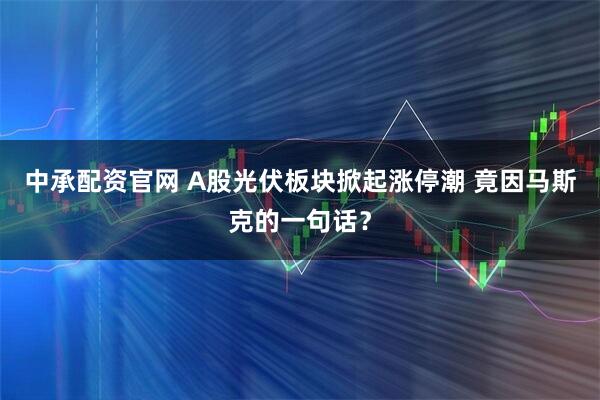 中承配资官网 A股光伏板块掀起涨停潮 竟因马斯克的一句话？