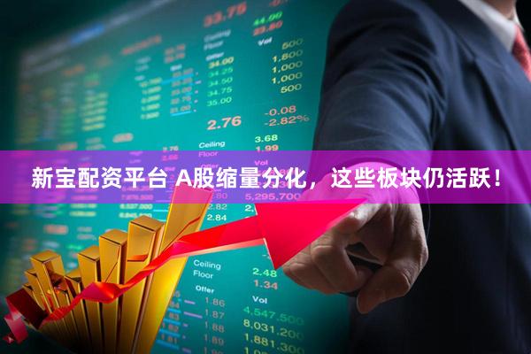 新宝配资平台 A股缩量分化，这些板块仍活跃！