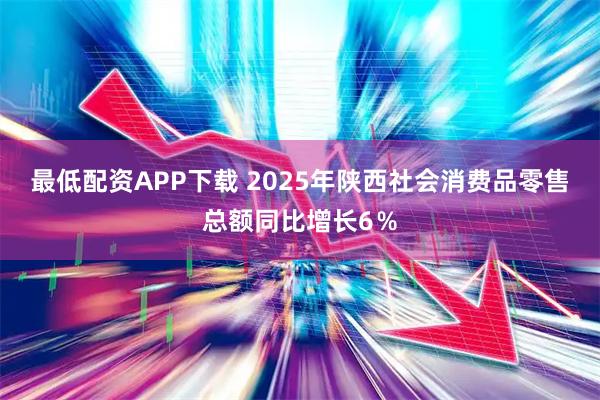 最低配资APP下载 2025年陕西社会消费品零售总额同比增长6％
