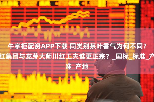 牛掌柜配资APP下载 同类别茶叶香气为何不同？川红集团与龙芽大师川红工夫谁更正宗？_国标_标准_产地